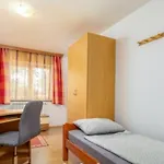 House Mira بوجي